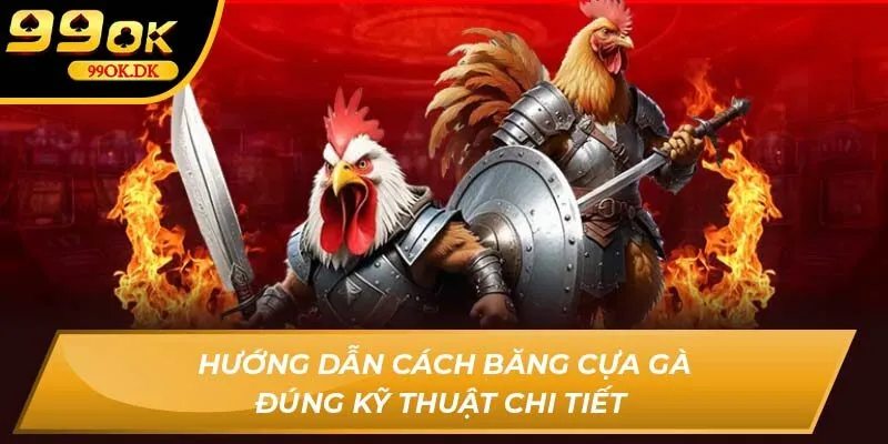 Hướng dẫn cách băng cựa gà đúng kỹ thuật chi tiết